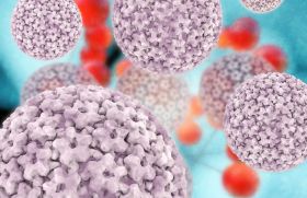 HPV et lésions intraépithéliales de bas grade